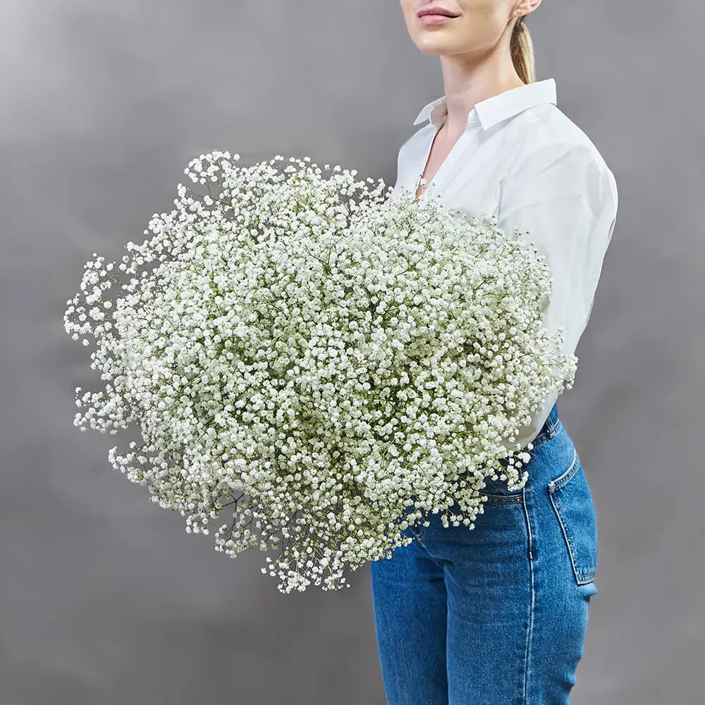 30 Букет из 25 гипсофил